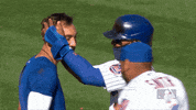 Ny Mets Water GIF by New York Mets