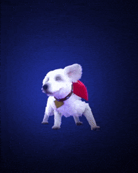 Lets Dance GIF