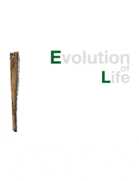 BarrioDelTacos art smoking evolution stoned GIF