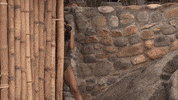 Season 6 GIF by Bachelor in Paradise