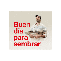 Campo Sticker by Crucianelli