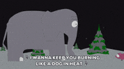 night elephant GIF by South Park 