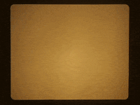 falenabalena animation pretty fan peacock GIF