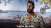 Omg Wtf GIF by USA Network