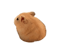 Mouse Hamster Sticker