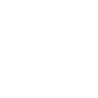 Campus Sticker by CampusPolska