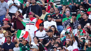 Liga Mx Football GIF by MiSelecciónMX