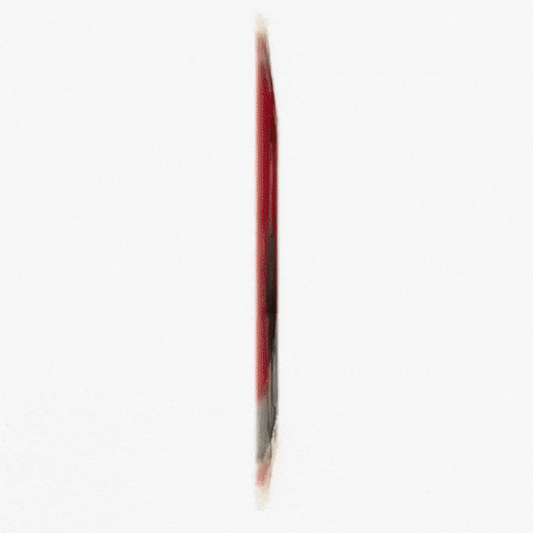 Lollapalooza Videographer GIF by Respective