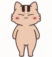 Cat 哭 GIF