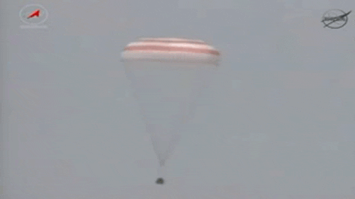 parachute capsule GIF by TED