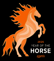 Chinese New Year Horse GIF by ZoetisEquine