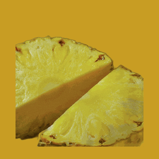 Summer Comida GIF