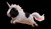 Guineapig GIF by M.G. Nagerfarm