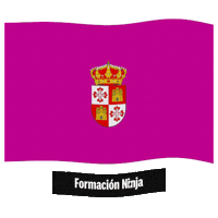 Castilla-La Mancha Flag Sticker by Formación Ninja