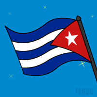 Cuban Flag Penguin GIF by Pudgy Penguins