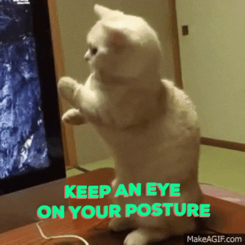 olby  GIF