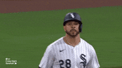 Major League Baseball Sport GIF by MLB