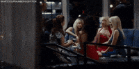 whats your number GIF by 20th Century Fox Home Entertainment