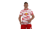 Pushing Lets Go Sticker by RB Leipzig