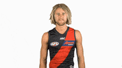 essendonfc dons bombers essendon essendon fc GIF