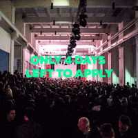 festivals GIF