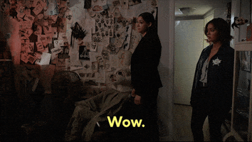 Csi Vegas GIF by CBS