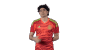 Memo Ochoa Football Sticker by MiSelecciónMX