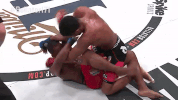 GIF by Bellator