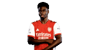 Football Celebrate Sticker by Arsenal