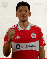 Excited Lets Go GIF by Chicago Fire Football Club