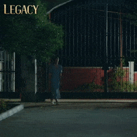 Legacy Emanet GIF by Eccho Rights