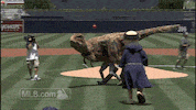 san diego padres GIF by MLB