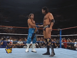 Shawn Michaels Wrestling GIF by WWE