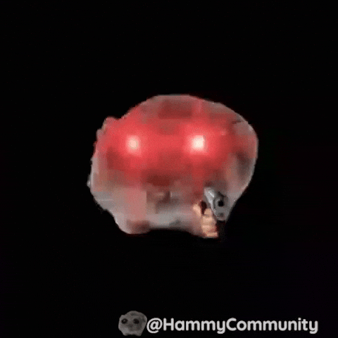 Gun Shoot GIF by Sad Hamster