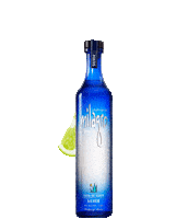 Weekend Plant Sticker by Milagro Tequila