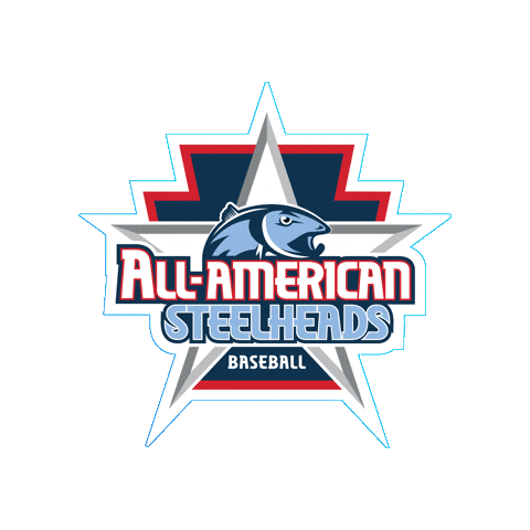 AllAmericanBaseball giphyupload allamericanbaseball allamericansteelheads coachcharlie Sticker