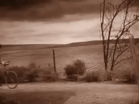 jjsmith61453 giphygifmaker bike teacher wizard of oz GIF