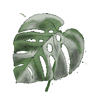 Drawdrillman plants leaf trees monstera Sticker