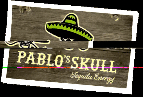 pablosskull giphygifmaker dance party drink GIF