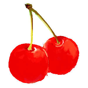 Fruit Cherry Sticker