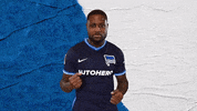 Bundesliga Berlin GIF by Hertha BSC