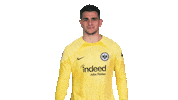 Max Frankfurt Sticker by Bundesliga