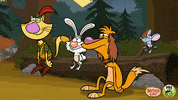 sad nature cat GIF by PBS KIDS
