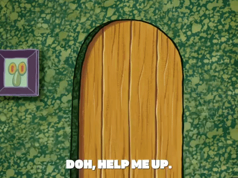 season 5 GIF by SpongeBob SquarePants