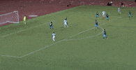 goal GIF by LA Galaxy