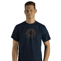 Waving Czech Republic GIF by Český olympijský tým