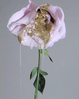 Dripping glittery rose