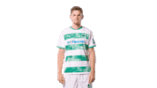 Kleeblatt Swipe Up Sticker by SpVgg Greuther Fürth