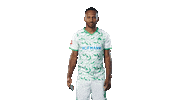 App Watch This Sticker by SpVgg Greuther Fürth