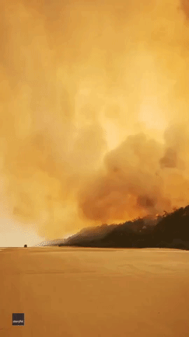 'Catastrophic' Bushfire Leaves Fraser Island Facing Significant Ecological Damage